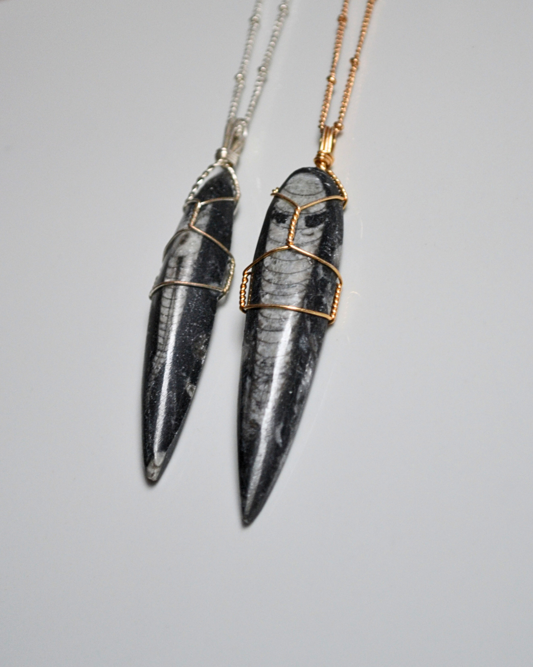 Orthoceras Fossil Necklace