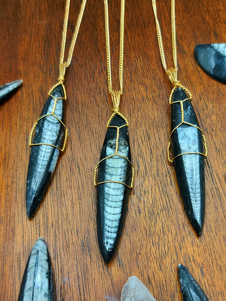 Orthoceras Fossil Necklace Pendant