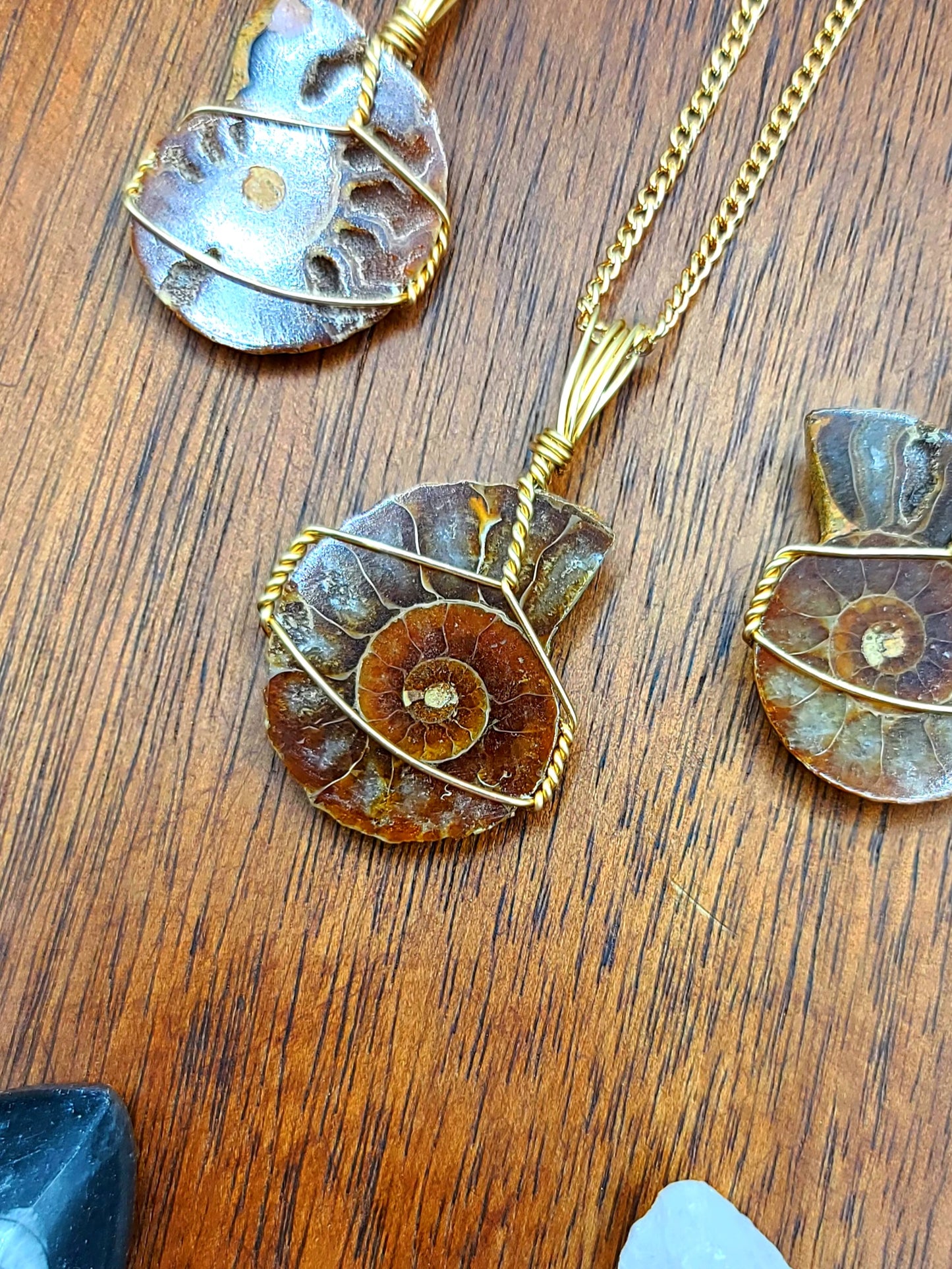 Ammonite Fossil Necklace Pendant