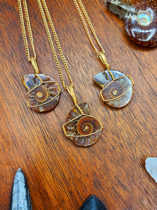 Ammonite Fossil Necklace Pendant